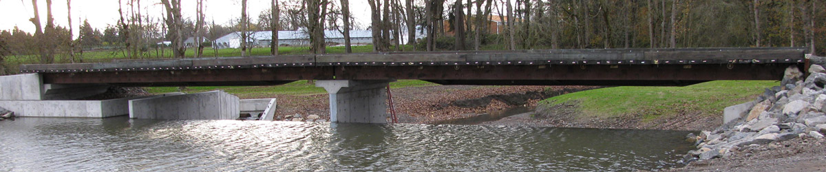 Industrial construction: bridges