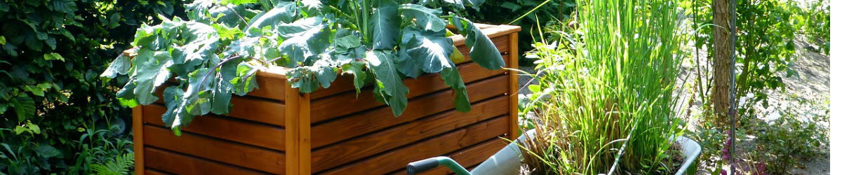 Treated Wood and Your Raised Bed Gardens